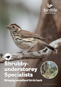 Shrubby-understorey Specialists Booklet from Birdlife Australia